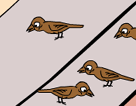 T_ȸ