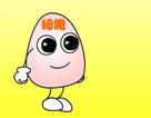 ȾɫwļӜp