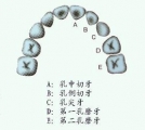 Q֪׼
