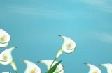 Ϣվ (׃@n)