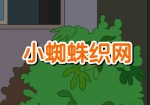 衶С֩뿗W(wng)FLASHӮ