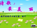 ׃@аZԣԊ衶FLASH(dng)n