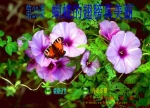 ׃@g(sh)ĳ (Ӯn)