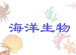 ׃@(dng)(hu)n