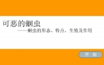 ׃@ƌW(xu)nɐĻx(chng)