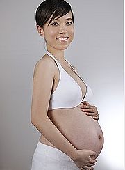 鷿׃
