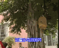 䋌 (׃@Сӽ̰)