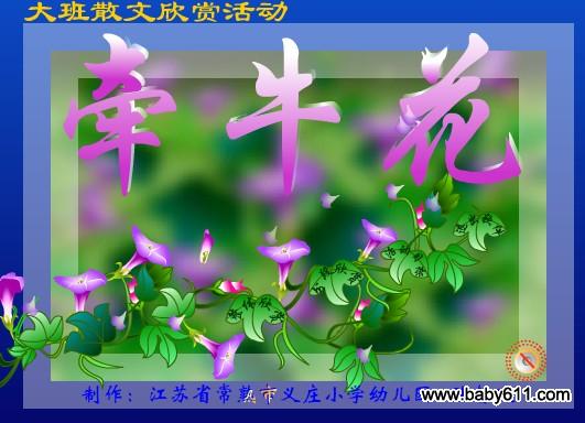׃@Z(y)ɢpFLASH(dng)(hu)nţ