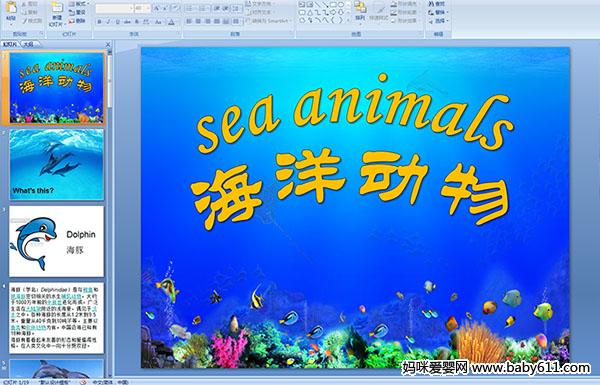 sea animals(dng)