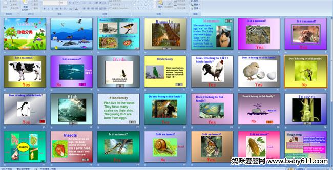 Animals(dng)(li)