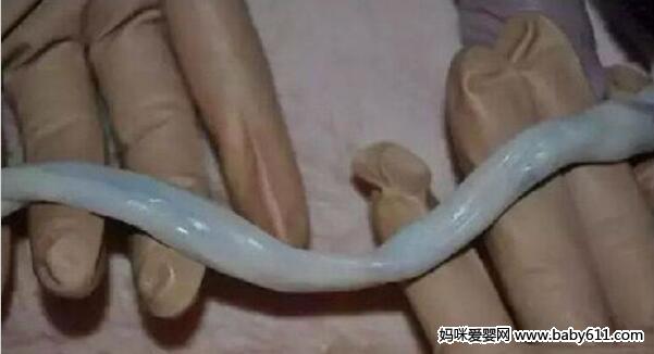 һ犼ĚȻ@ô̎