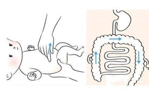 냺ô