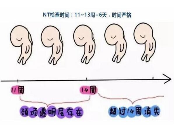 (xing)zͨ^fܽ