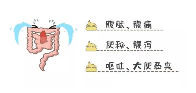 һqǰעؿƌW(xu)ʳܽL
